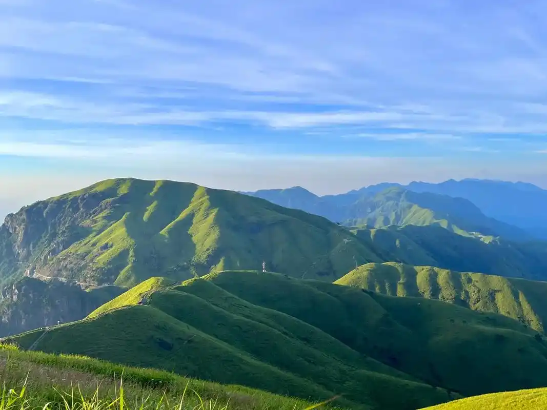 山